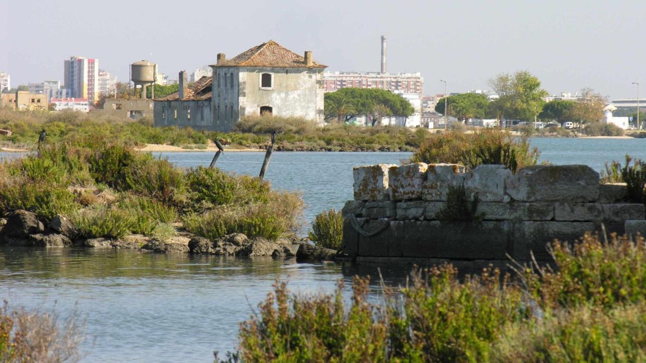 Legendary Bay Suite Tematica سيكسال المظهر الخارجي الصورة